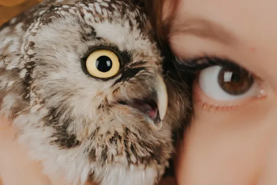 MatchUp Cazino Cazinou Suport